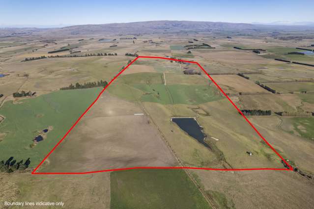 513 Bypass Road Ranfurly_2