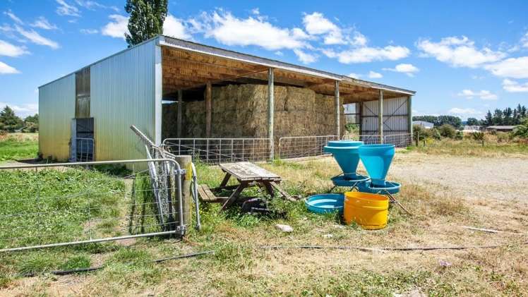 128 Mangamutu Road Murupara Surrounds_10