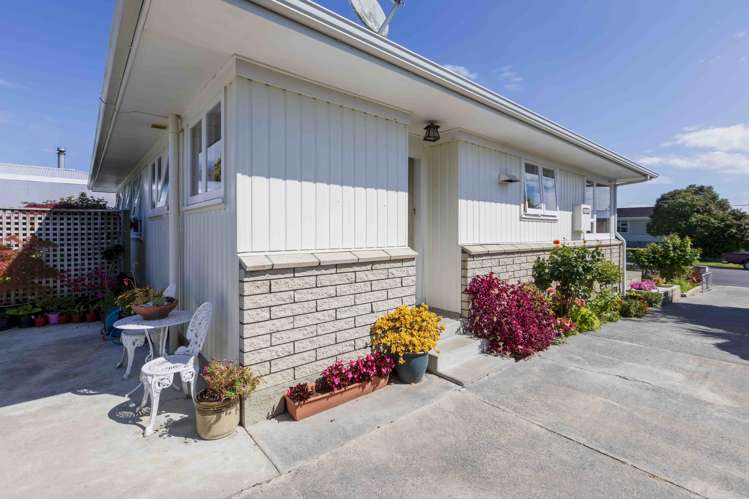 24 Plunket Street Tamatea_13
