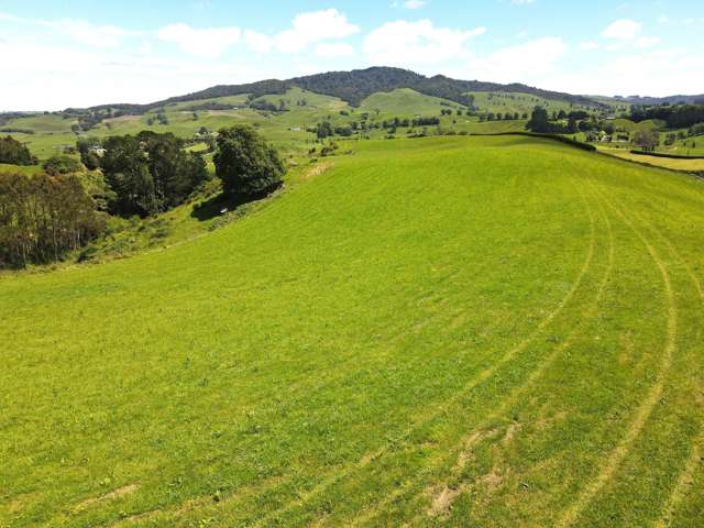 231B Morgan Road Matamata_2