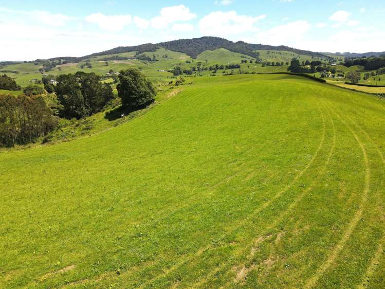 231B Morgan Road Matamata_2