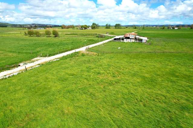 Cropping or Grazing Opportunity on Ruawai Flats