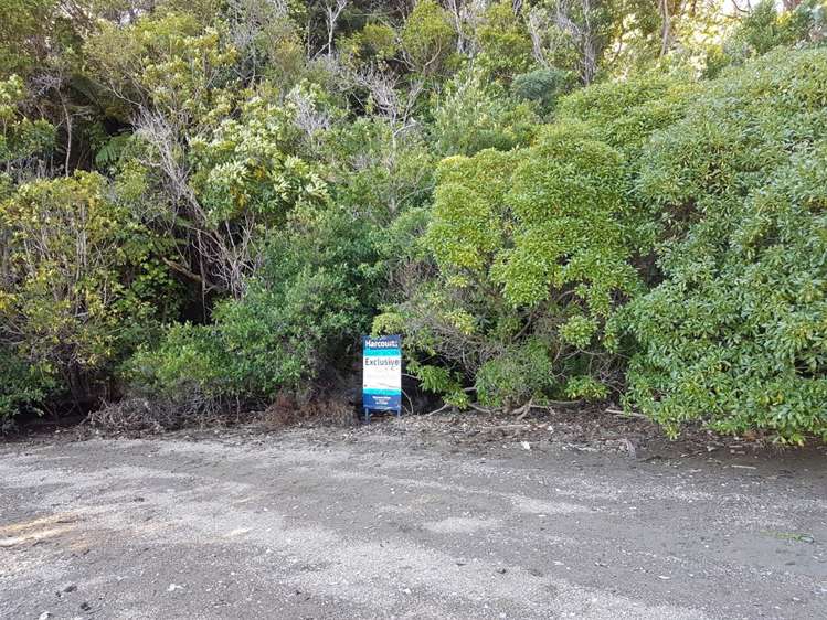 Torea Moua Bay Marlborough_7