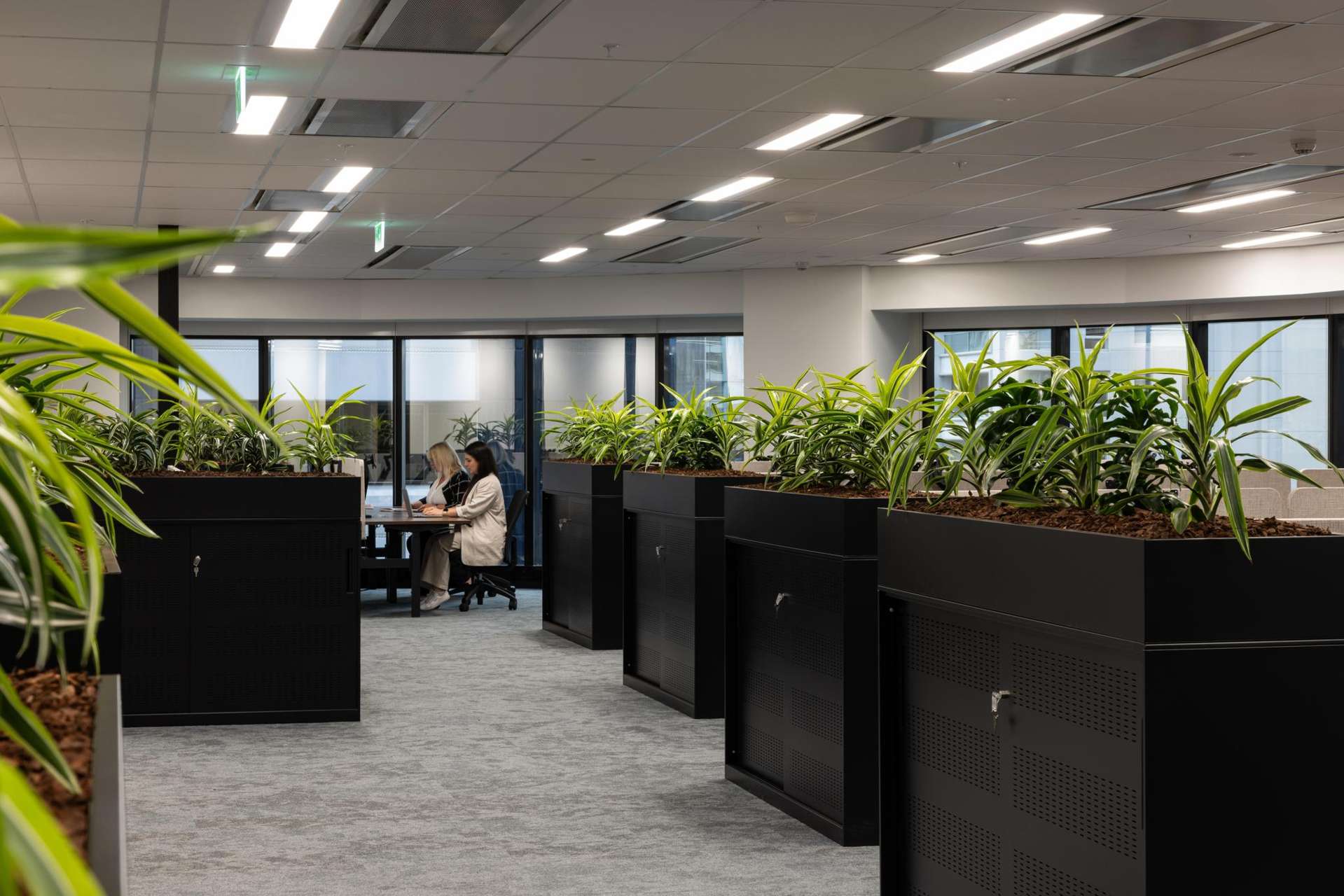 23-29 Albert Street Auckland Central_0