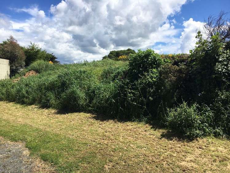 199 Highcliff Road Shiel Hill_5