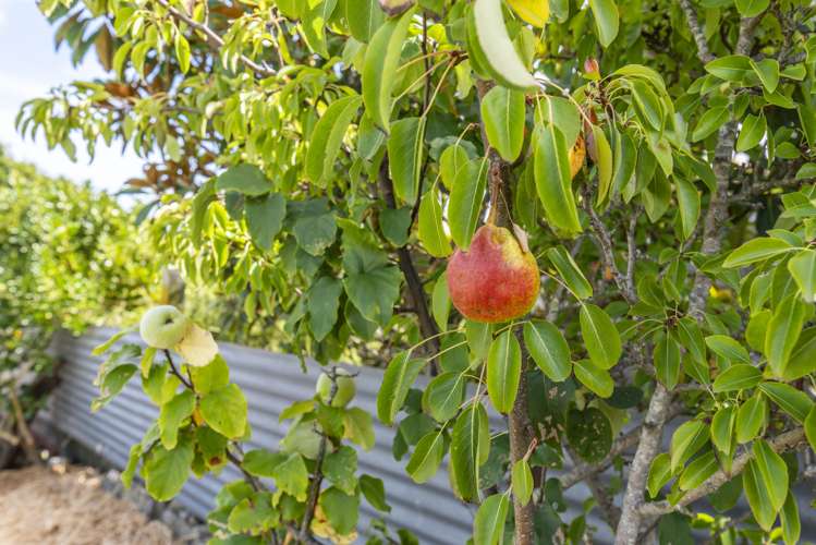 337 Te Horo Beach Road Te Horo Beach_9