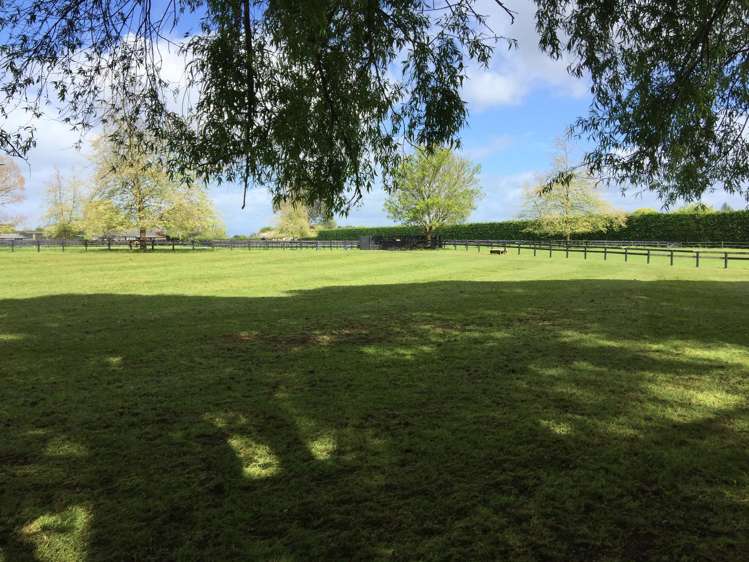 598 Marychurch Road Matangi_23