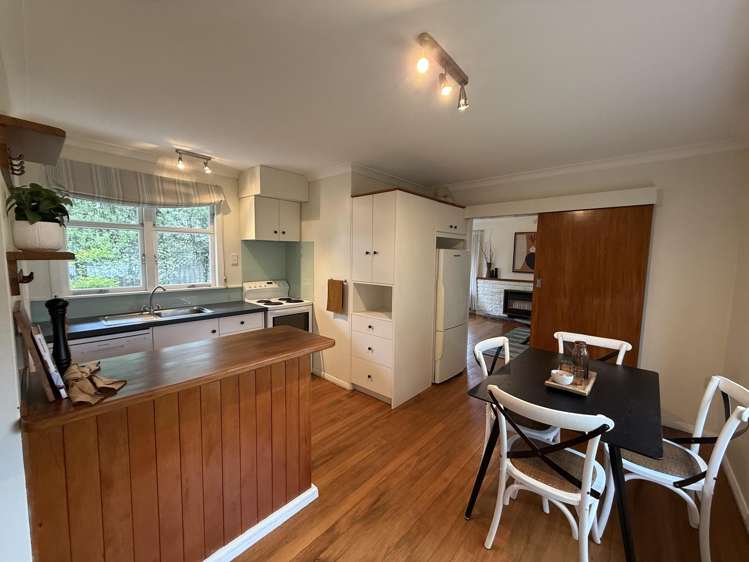 45 Alfred Street Roslyn_12