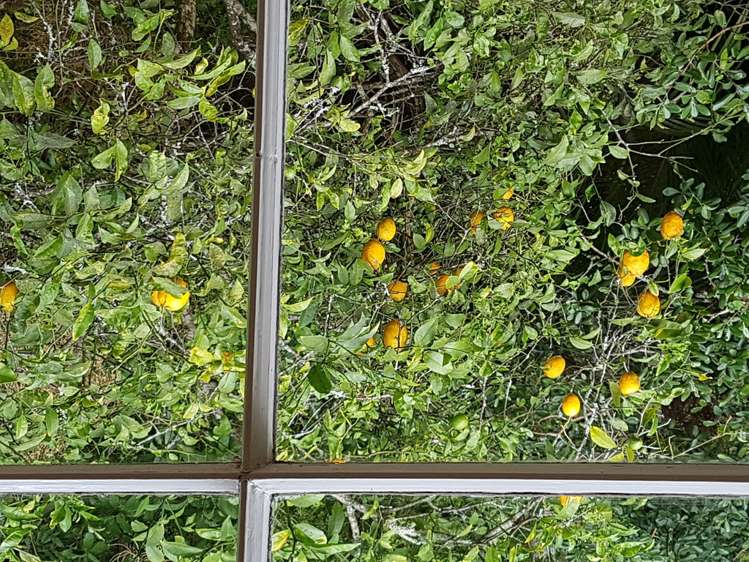 76 Laingholm Drive Laingholm_4