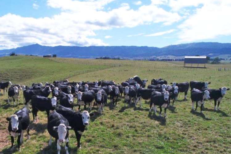 776 Kakahu Road Tapapa_16