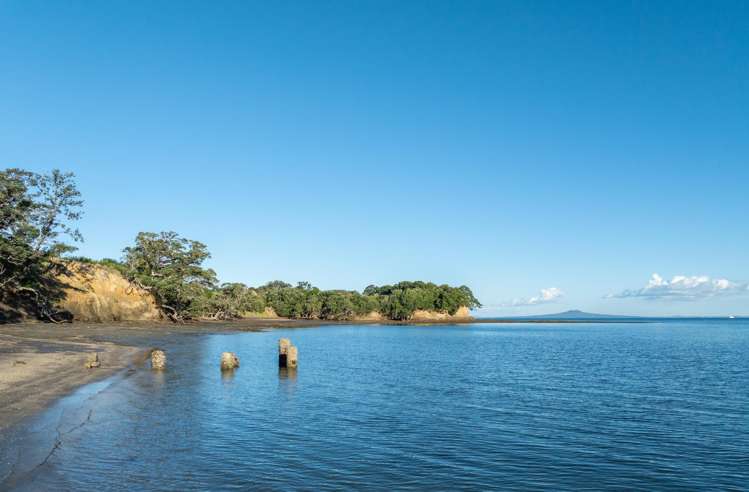 3 Daisy Burrell Drive Gulf Harbour_63