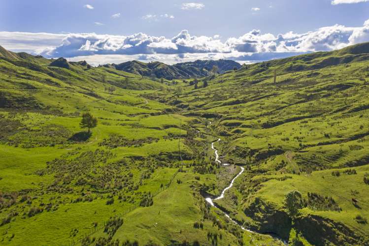 3099 State Highway 4 Te Kuiti_15
