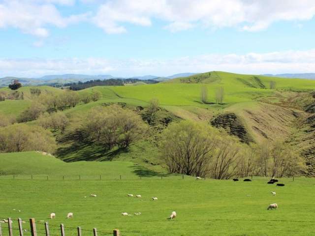 93 Bird Road Central Hawkes Bay Country_1