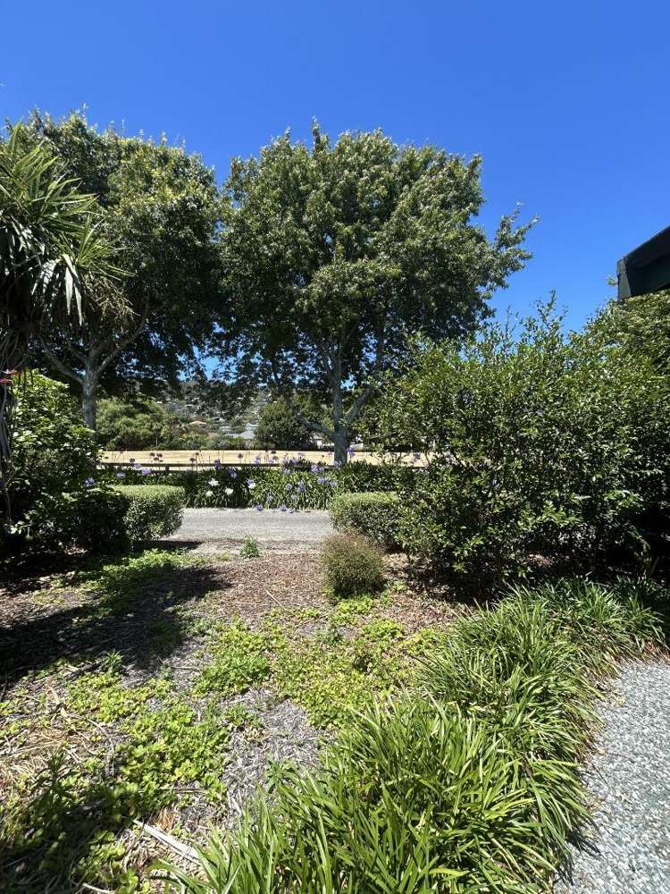 14 Centennial Road Tahunanui_3