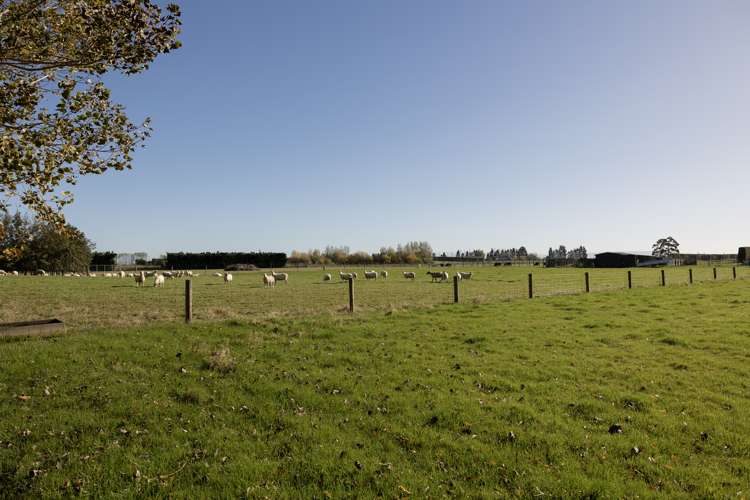 453 Norman Road Winton Surrounds_29