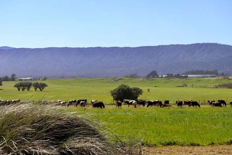 North Karamea Road Karamea_5