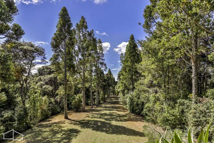 215 Konini Road Titirangi_28