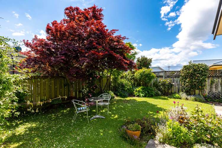 45b Monro Street Blenheim Central_19