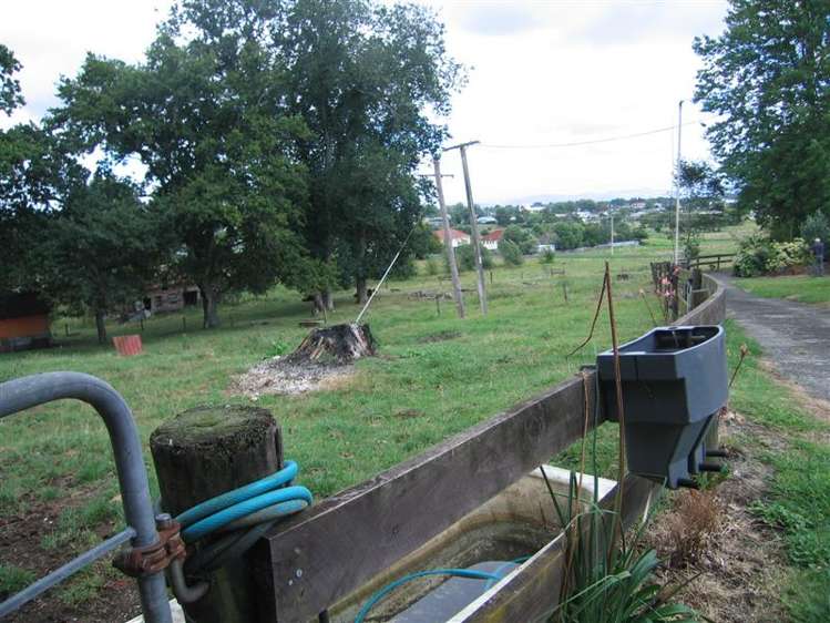 33 Ainslie Road Paeroa_15