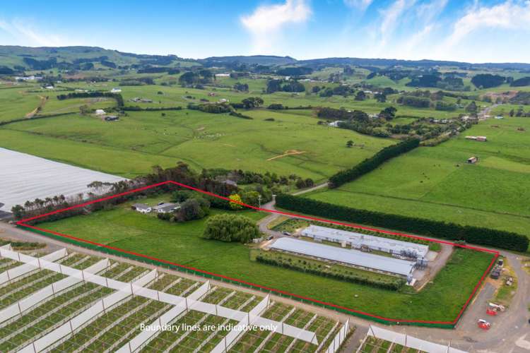 56 Furniss Road Waiuku_7