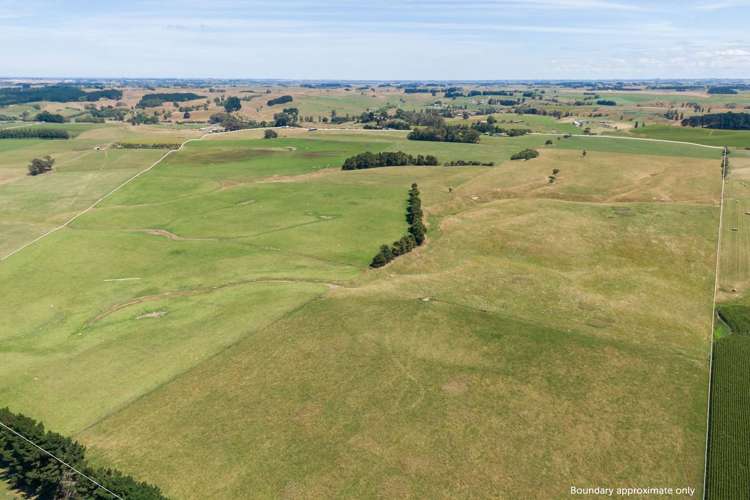 108 McKays Line Cheltenham_2