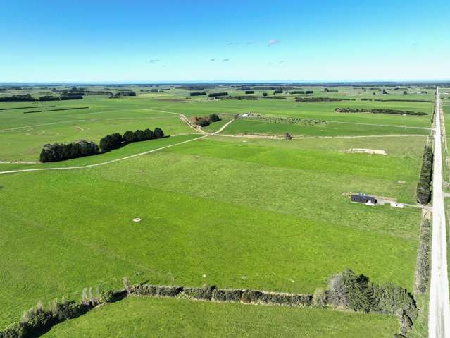 79 Tapper Road, Farm 3 Rimu_3