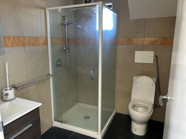 Matthews Road Flat Bush_4