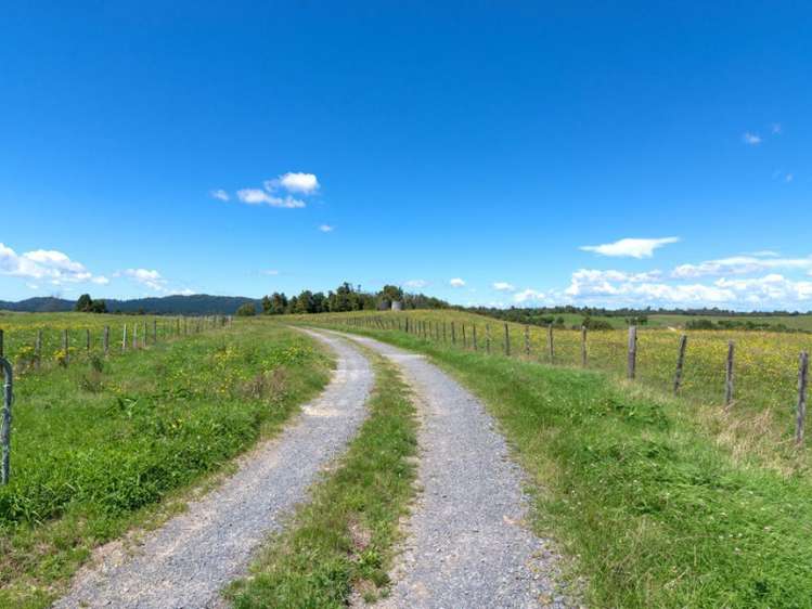 627 South Road Mamaku_1