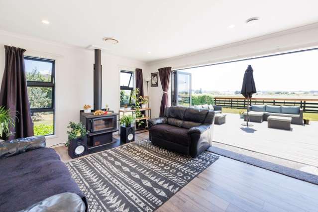 14 George Street Bulls_4