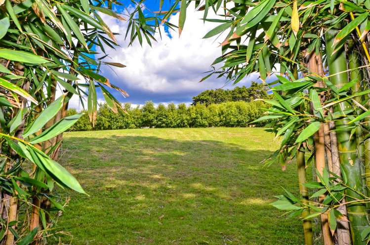 16 Durey Road Dairy Flat_20