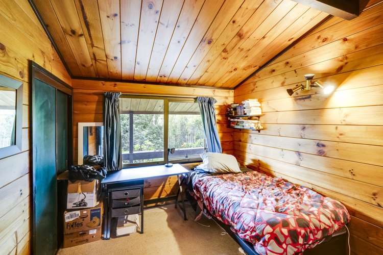 47 Plunket Street Tamatea_11