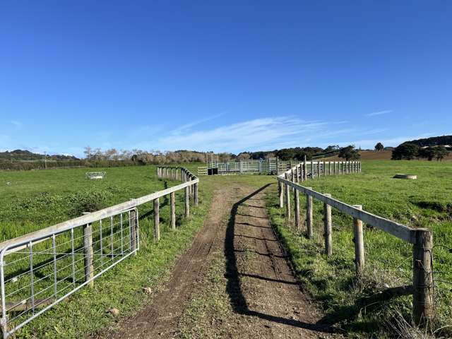 678 Waiuku Road Mauku_4