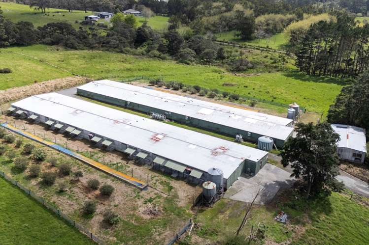 118 Motu Road Huapai_12
