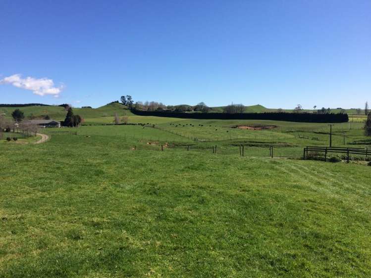 Matai Road Matamata_0