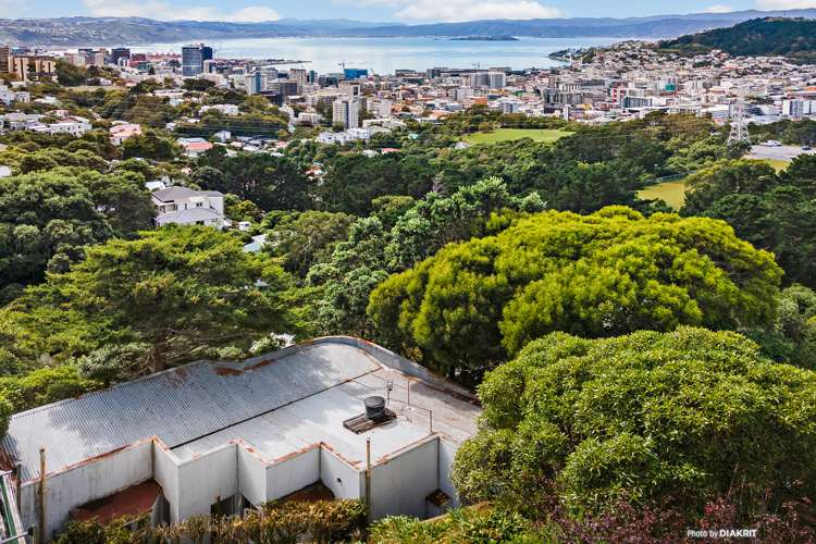 94 Mortimer Terrace Brooklyn_1