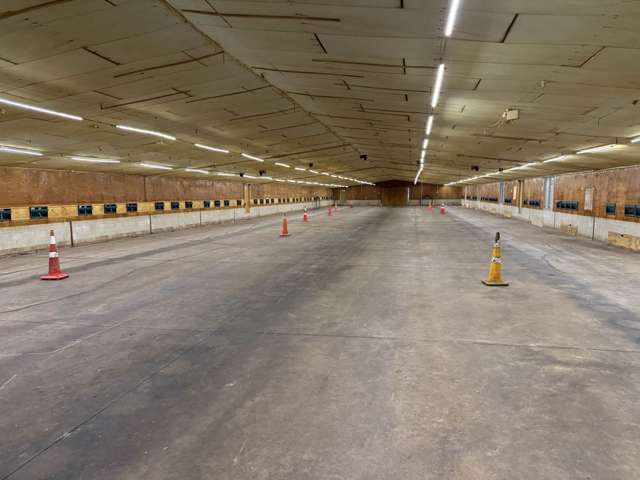 153 Trigg Road Kumeu_2