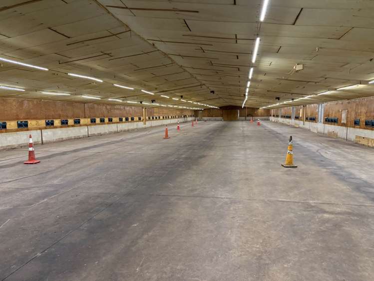 153 Trigg Road Kumeu_2