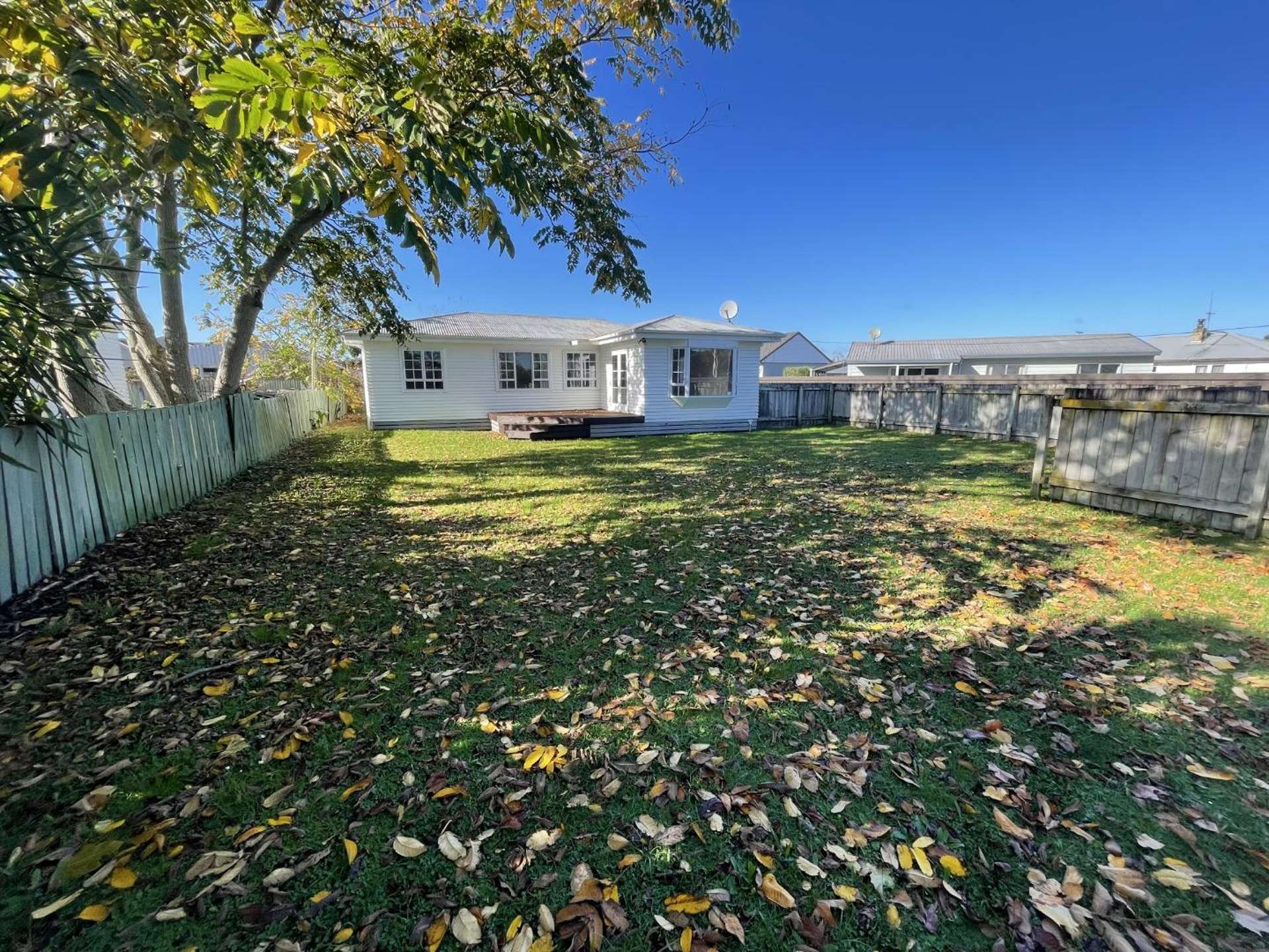 64 Shelley Street Cambridge_0