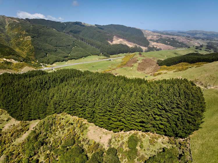 850A Paekakariki Hill Road Paekakariki Hill_36