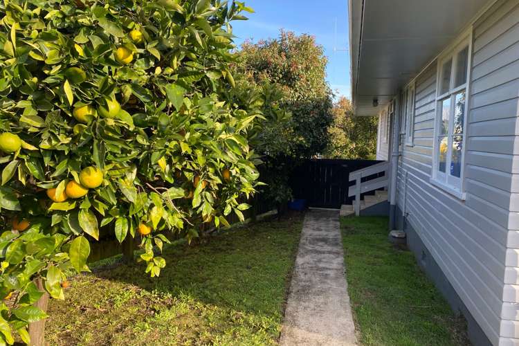 14 Willoughby Street Paeroa_15