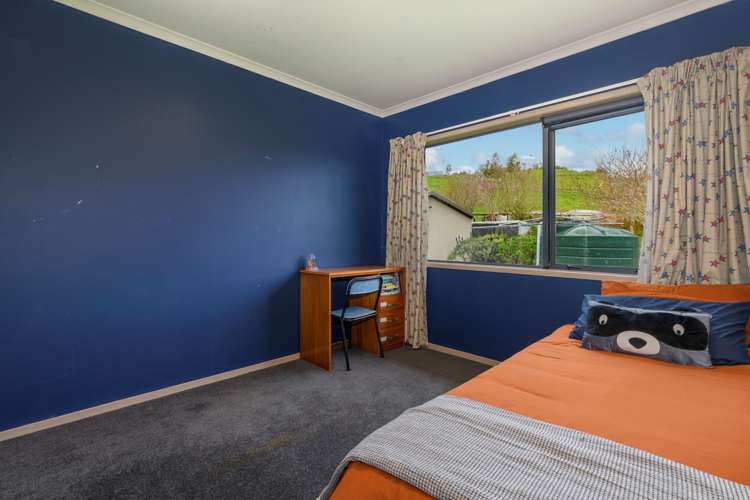 698d Whakamarama Road Whakamarama_10