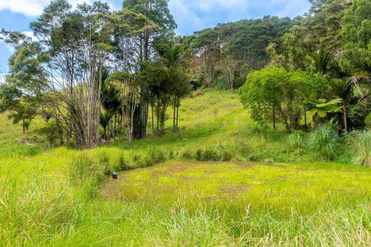 542 Duddy Road Hokianga_17