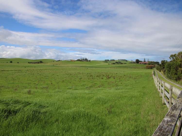 817 Baylys Coast Road Dargaville Surrounds_3