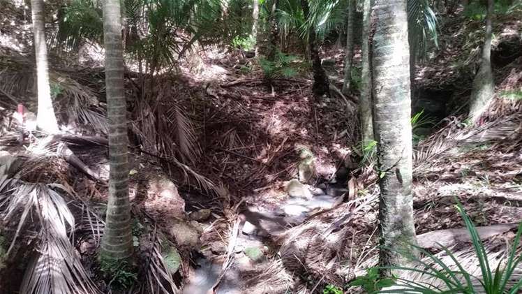 17 Waikarekare Lane Karekare_8