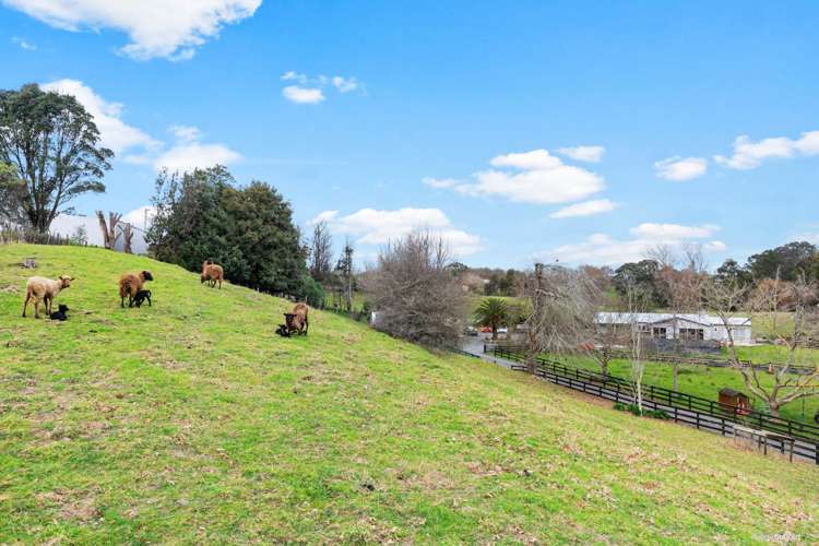 15 Pitt Road Runciman_13