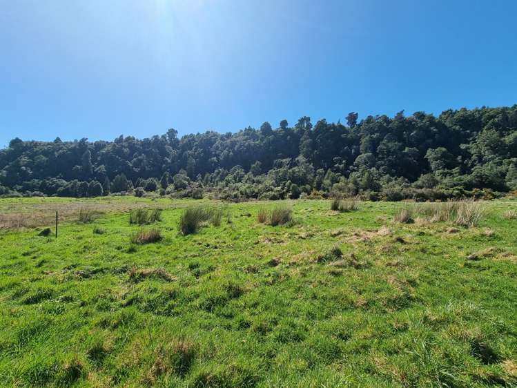 Blue Spur Road Hokitika_10