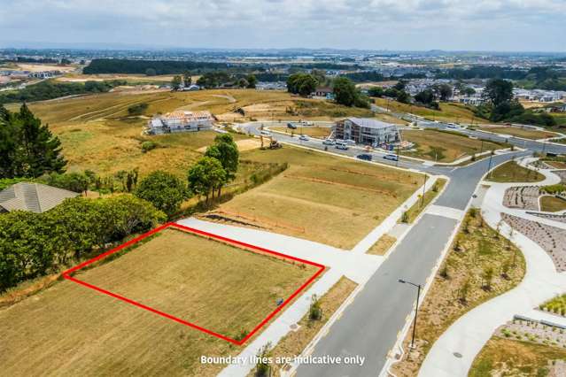 34 Rathfarnham Road Flat Bush_1