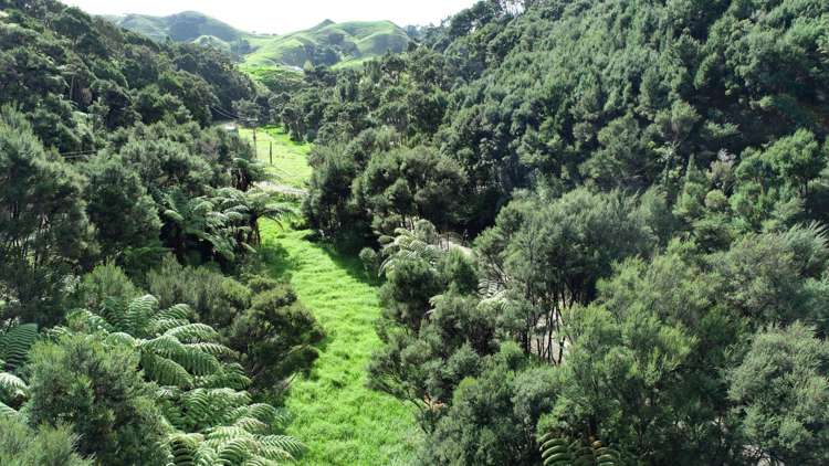 328c Wainui Road Kaeo_26