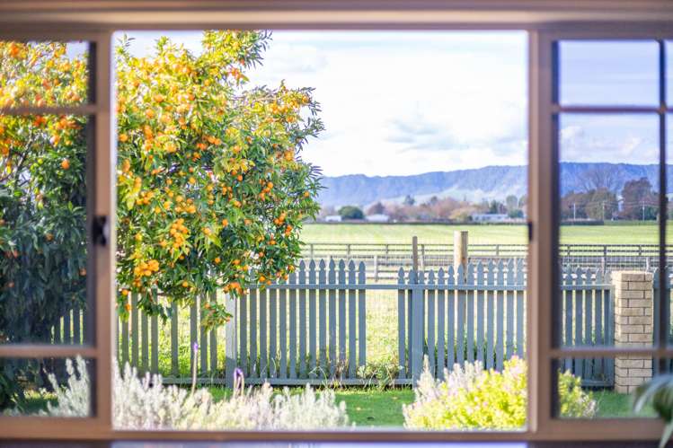 13 Mannix Place_3