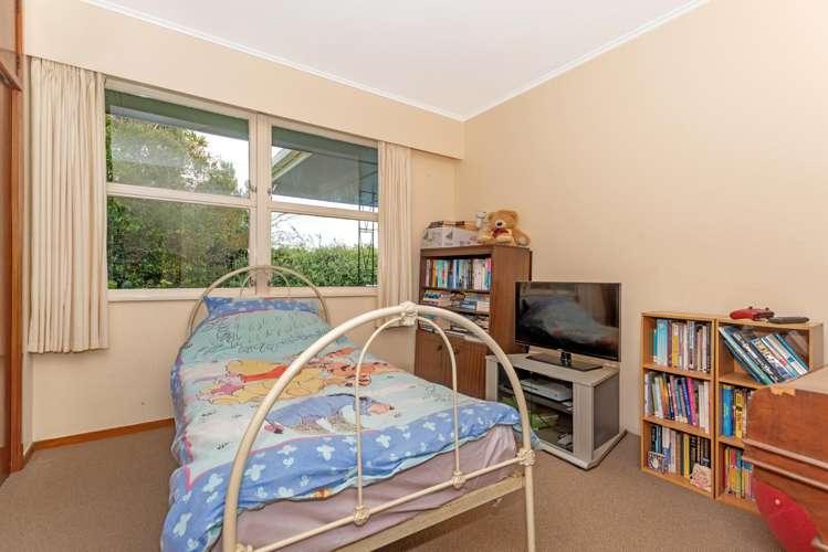 47 Cameron Road Makauri_10